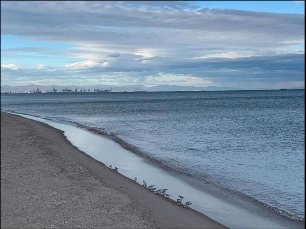 Beach Retreat Valencia Ngoại thất bức ảnh